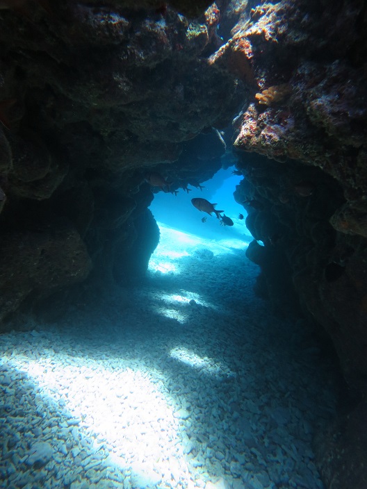 󂢏łR̒n`yނƂł܂B