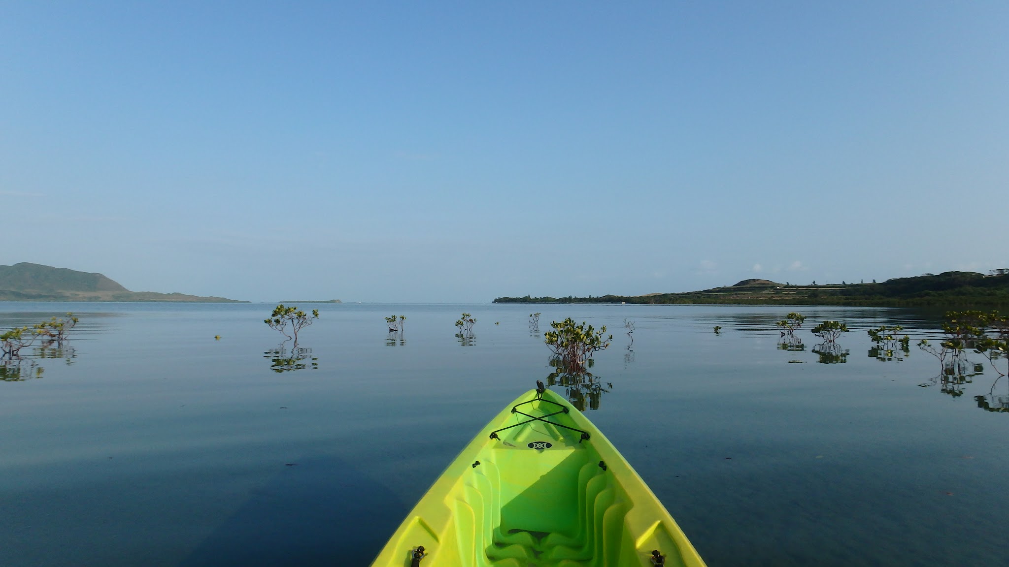 小浜島 マングローブカヤック 2時間半コース 手漕屋素潜店ちゅらねしあ じゃらん遊び体験