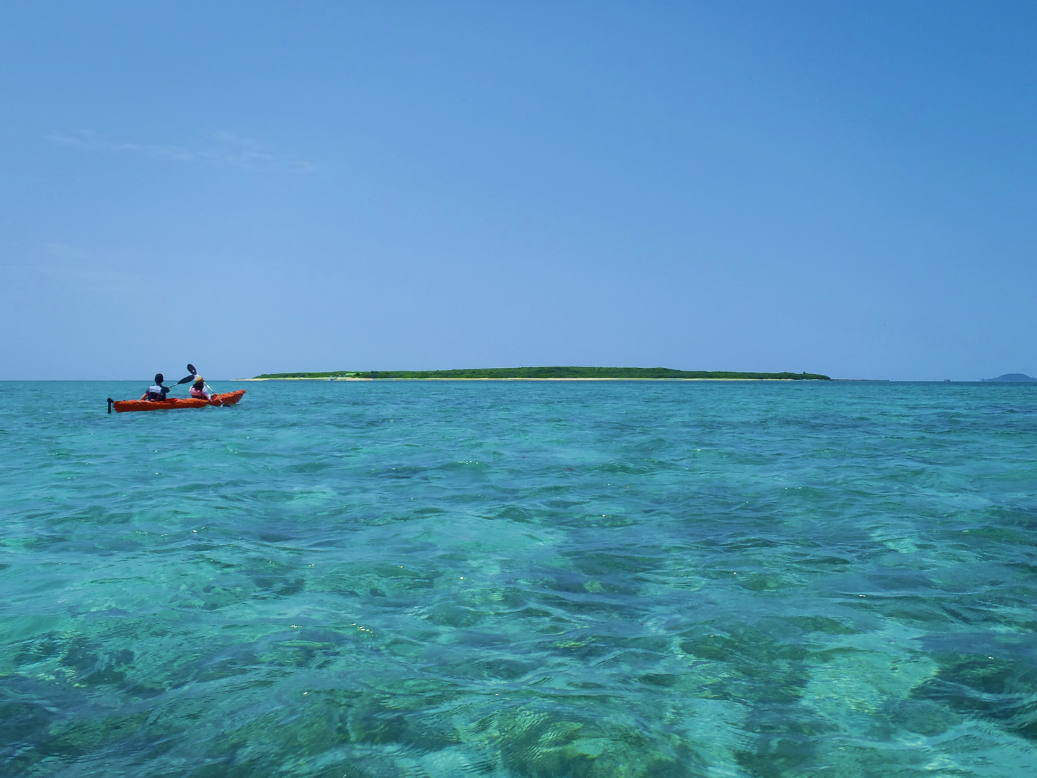 �������̓��܂ŁA�撣��I�K���o���I