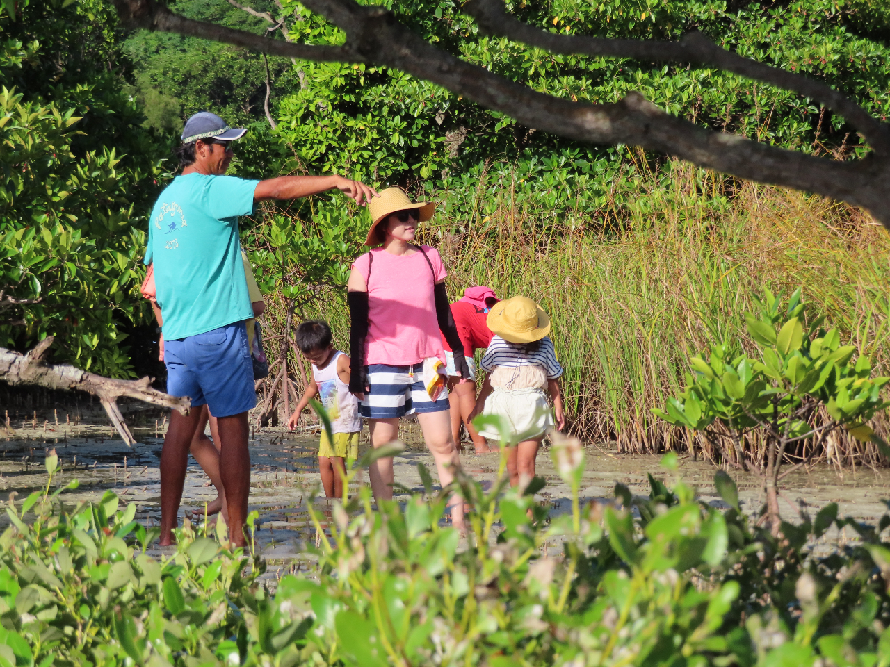 ̂ƁAR̂ƁA̓Ƃ̂Ȃ̂ƁAłĂ