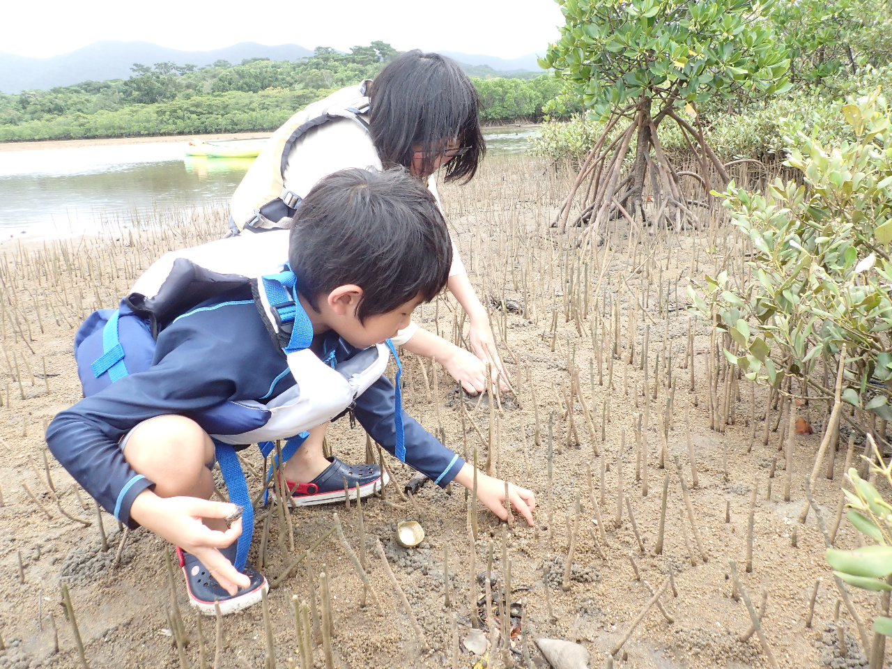 JjE~i~grn[EDcq@͐s܂