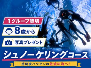 透明度バツグンの佐渡の海でシュノーケリング!1グループ貸切で8歳から参加OK。ご家族やお友達との思い出に。水中写真も無料でプレゼント!