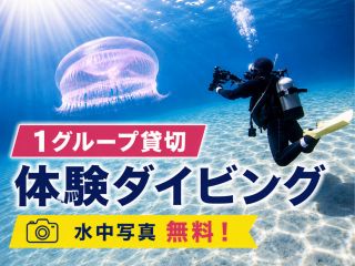 初めてでも安心!泳げなくてもOK。水中カメラ無料で、その瞬間を思い出に残せる体験ダイビング。
