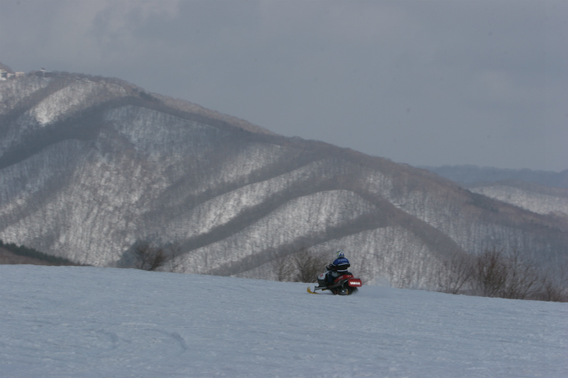 厩R̒ApR[XXm[[rŎł܂!