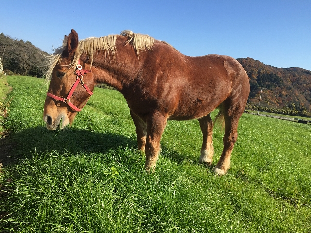 nqcWAV}E}ȂǐFȓ҂Ă܂