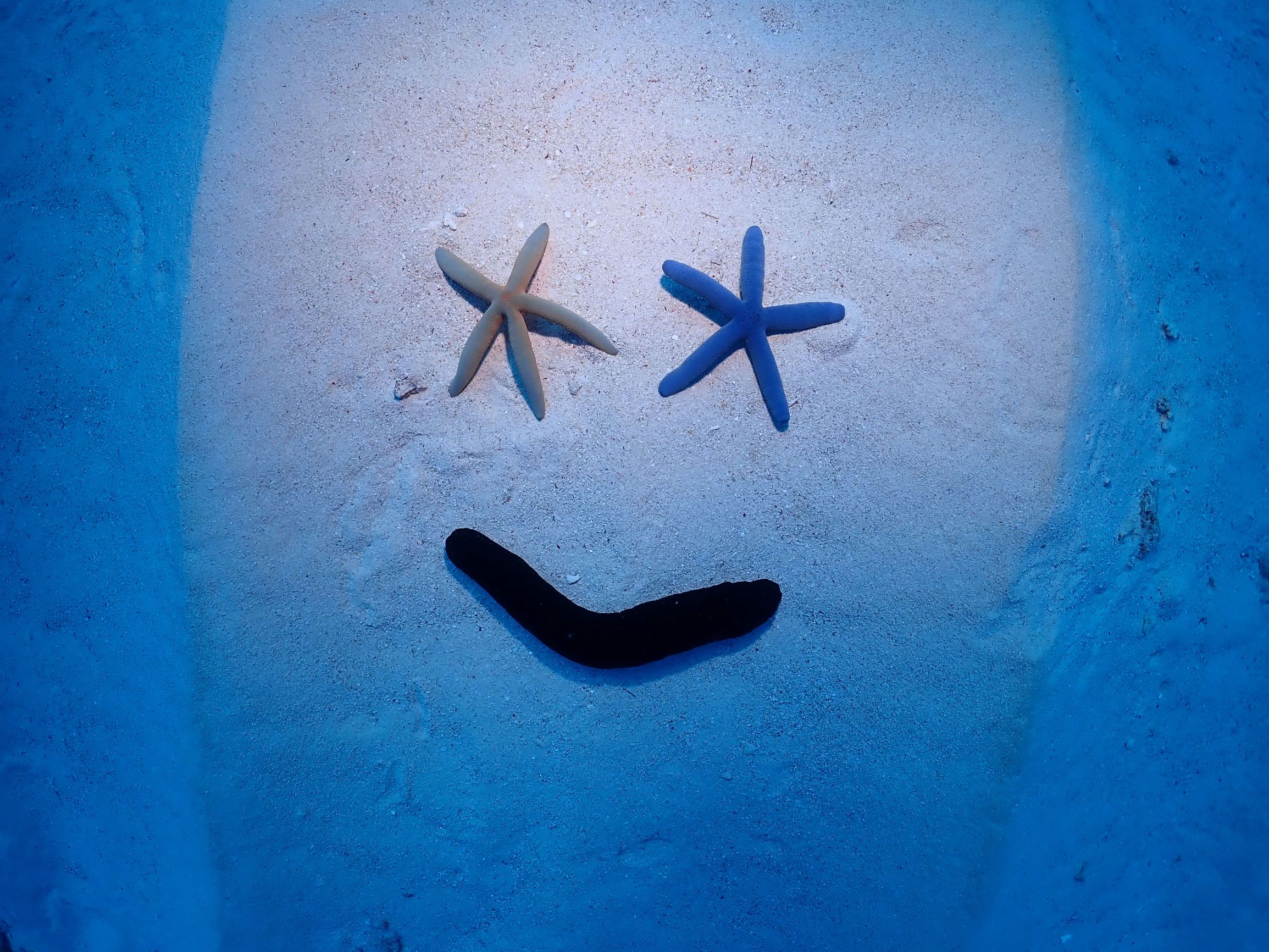 砂地に顔が・・・。