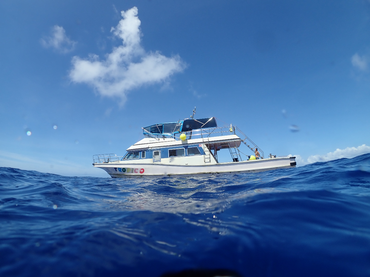 県内最速級のクルーザーです!