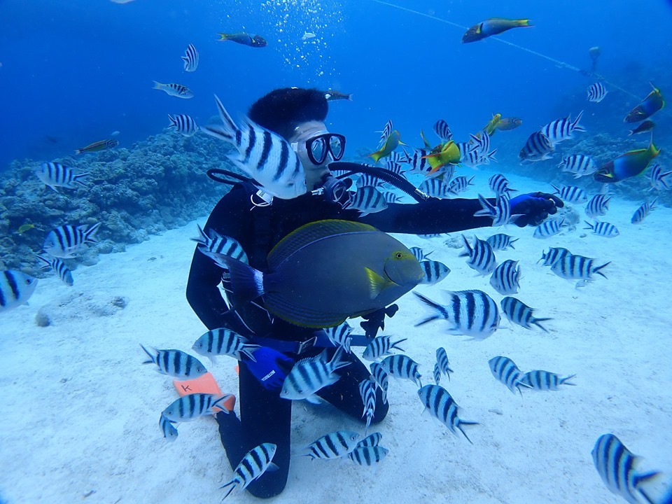 たくさんのお魚に囲まれる!