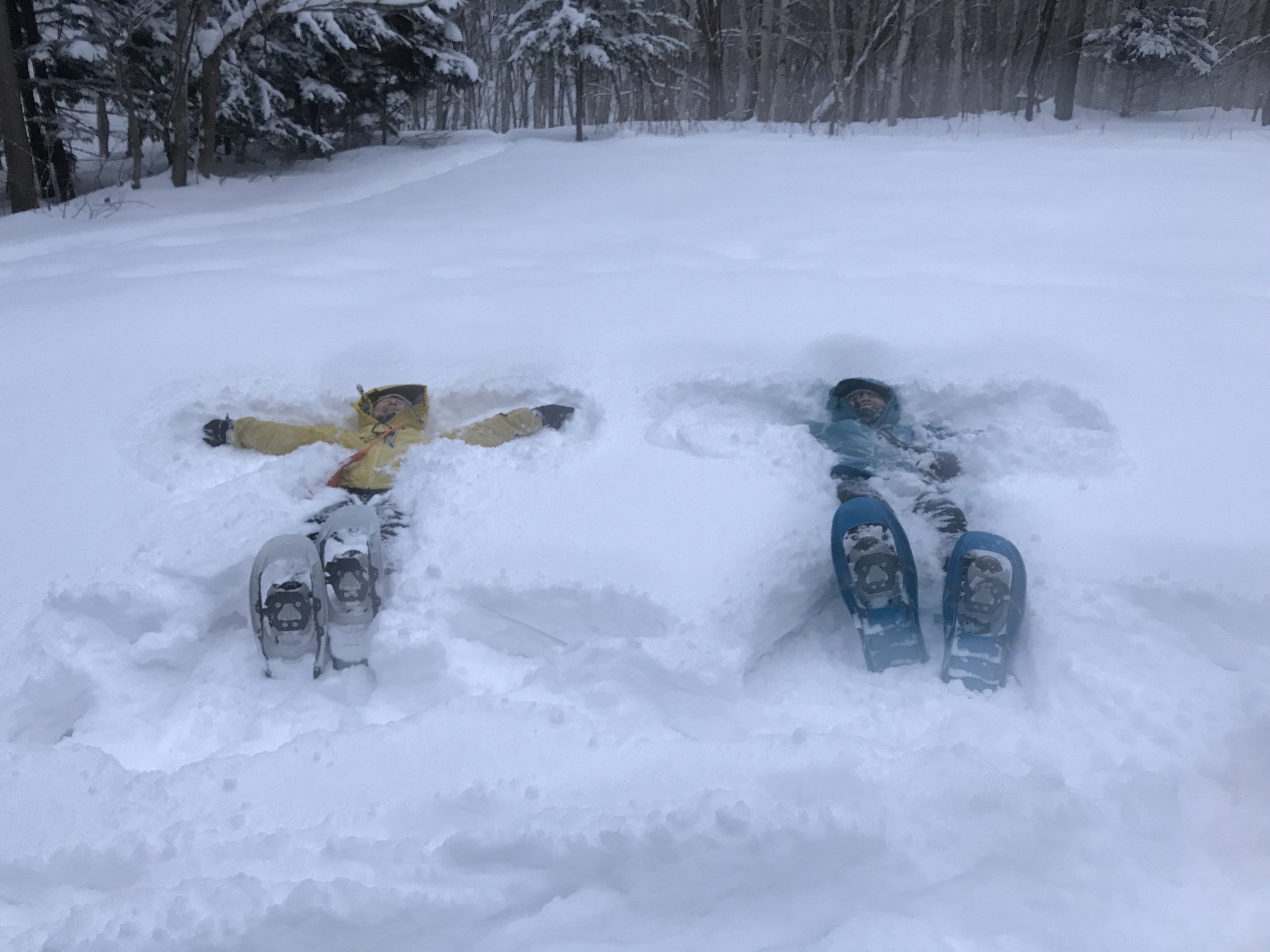雪の中に倒れこむ