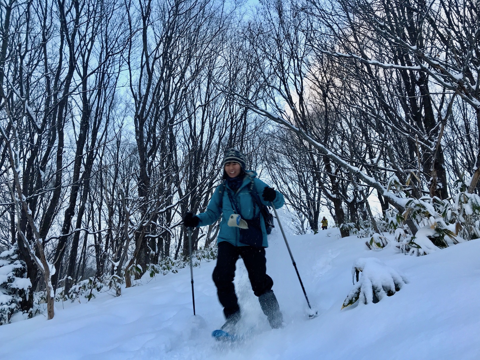 林の中を走る♪