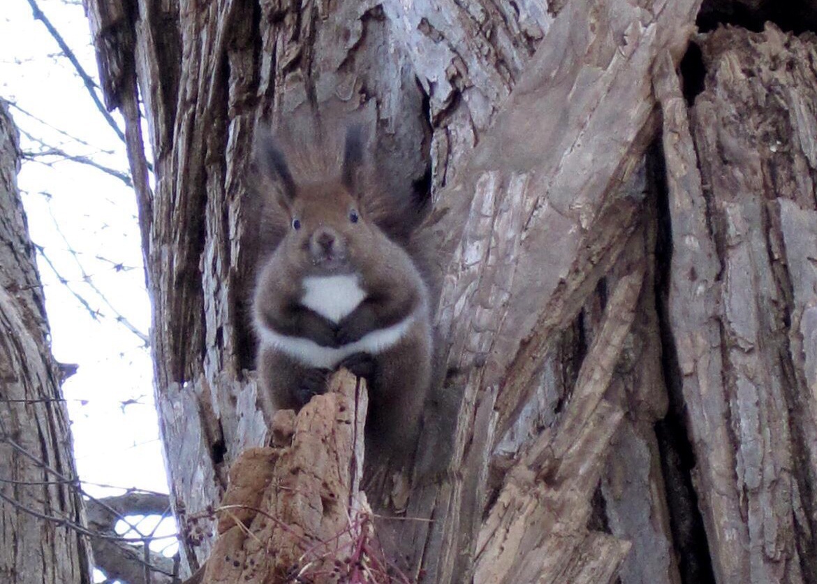 邵G]X̗dV}GiKɏo邱Ƃ