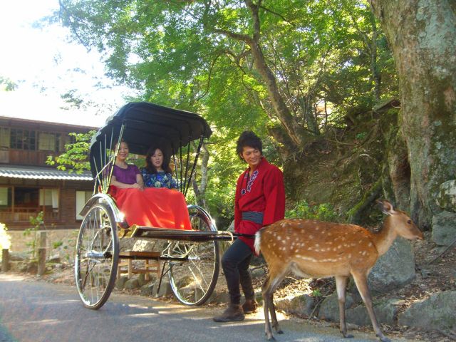 コース上では鹿さんとふれあうことができます☆