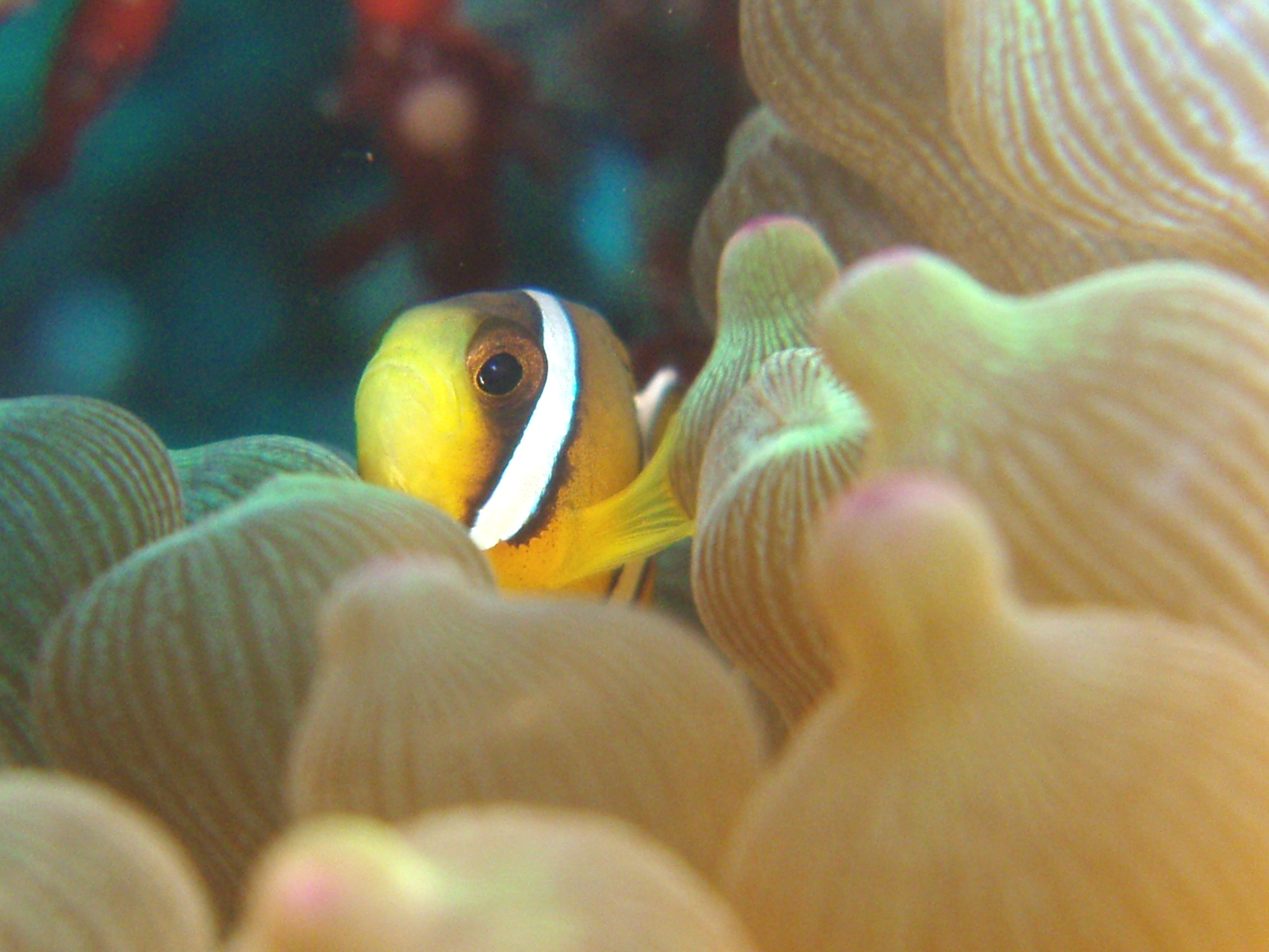 H̃xXgV[Y͉cώ@ł܂B