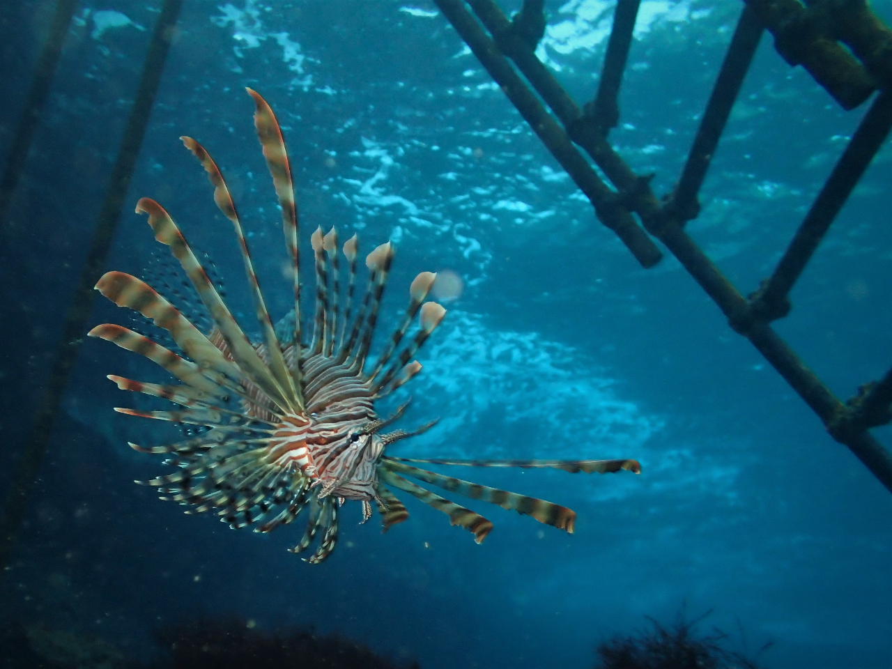 G߂Ƃɐ╗iςAlĜ哇̊CBǂȂɐĂO邱Ƃ͂܂B