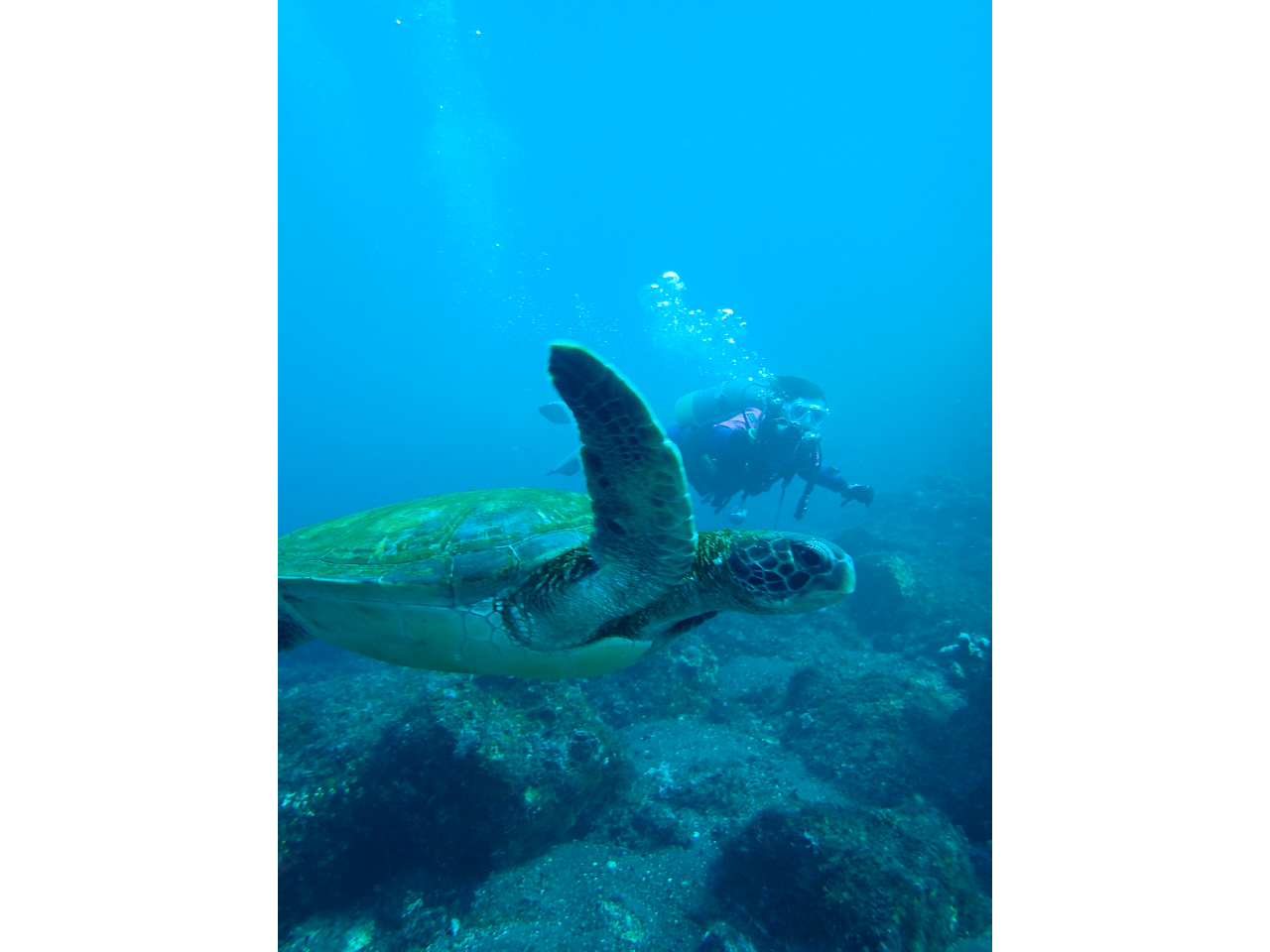 どんな生物に出会えるでしょうか?