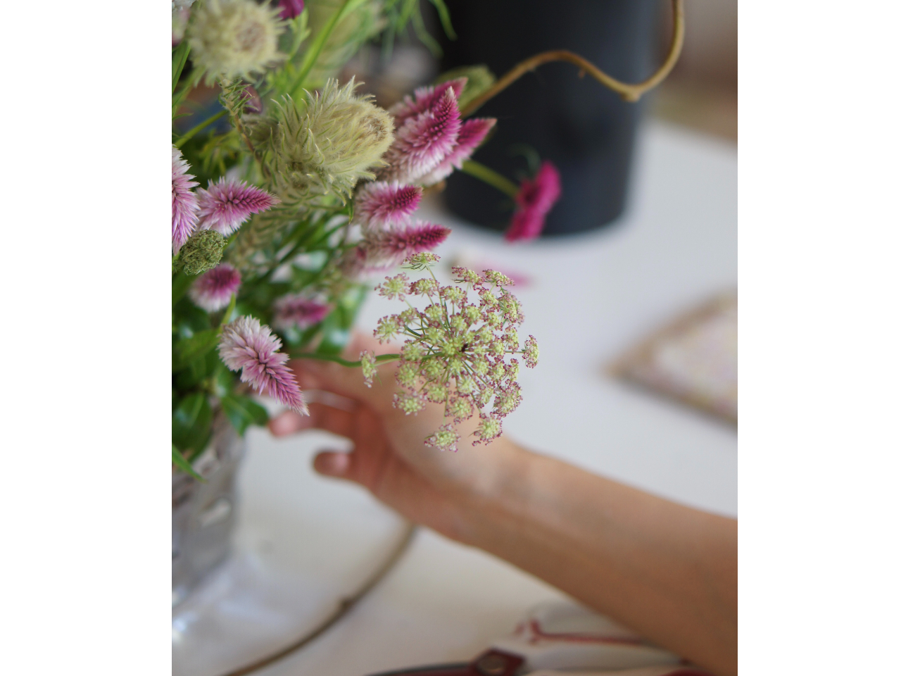 Ԃ𒚔JɈƁA肱ނĂ܂B