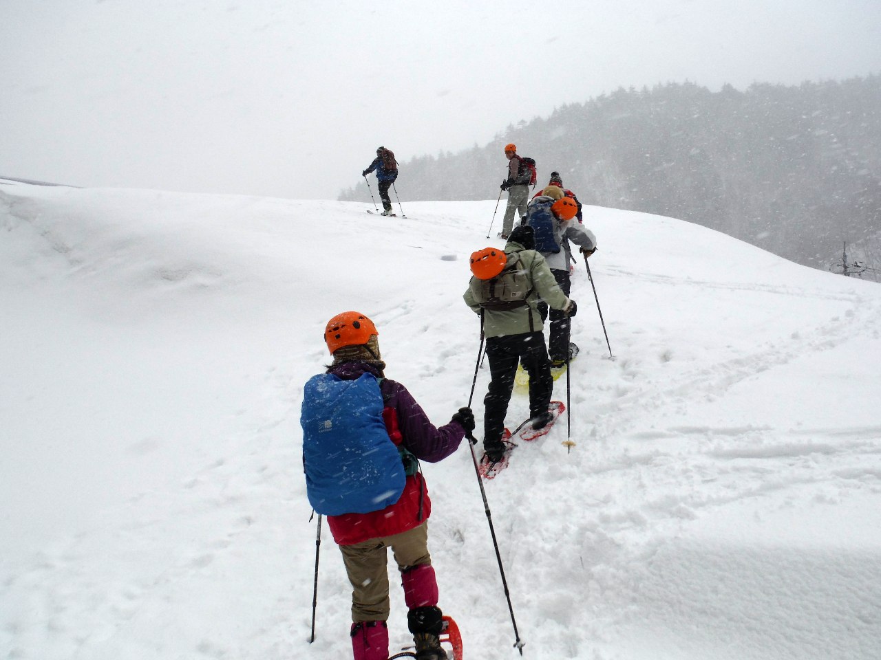 Xm[V[i񂶂j𗚂ĐRgbLO