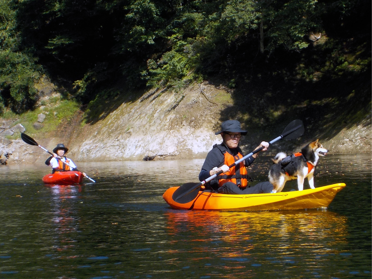 rIɈ肵Ζʂł̑̌ł̂ŁA߂Ă̕łSĂQB