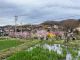 のどかな春の里山は穏やかな雰囲気に包まれています