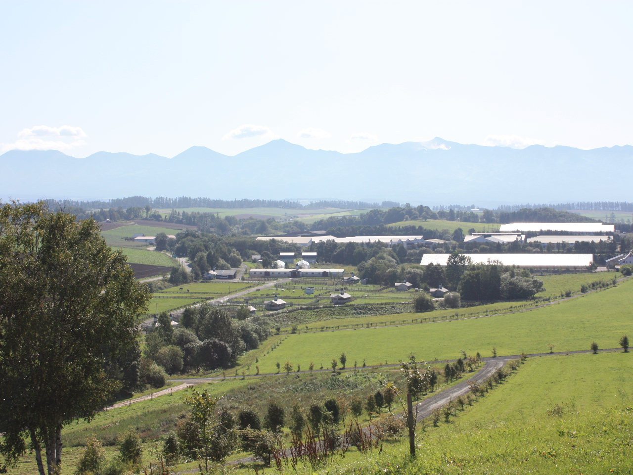 W]䂩猩\x͈łB@[ɂ͔l̋u̕iL܂