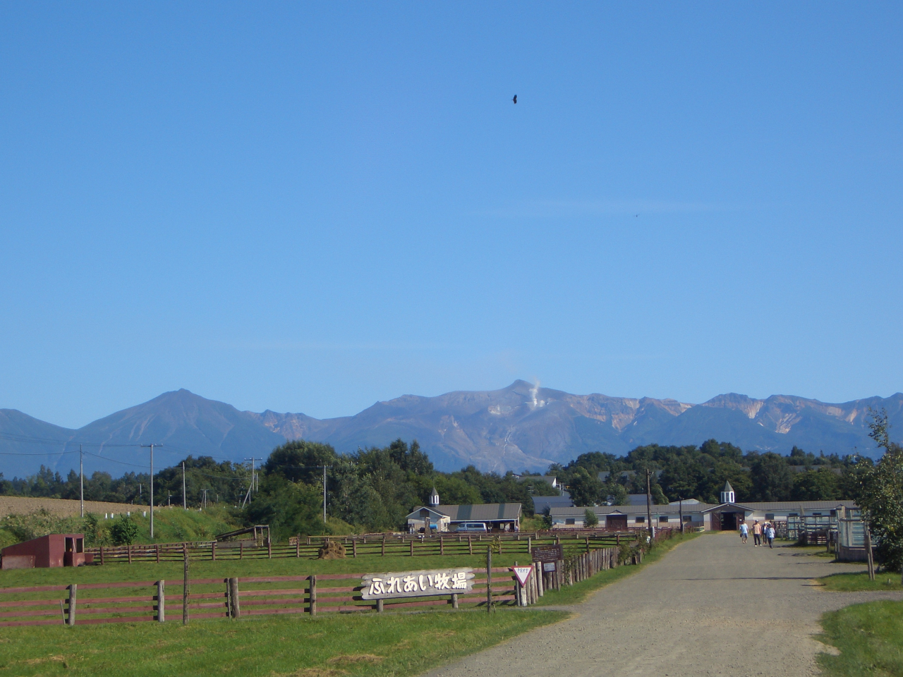 kC炵厩R̒ɂόq@̓BɉɗĂI@