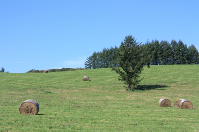 q̎ӂ́Aû܂uтvȂł͂̋u˒nтL܂