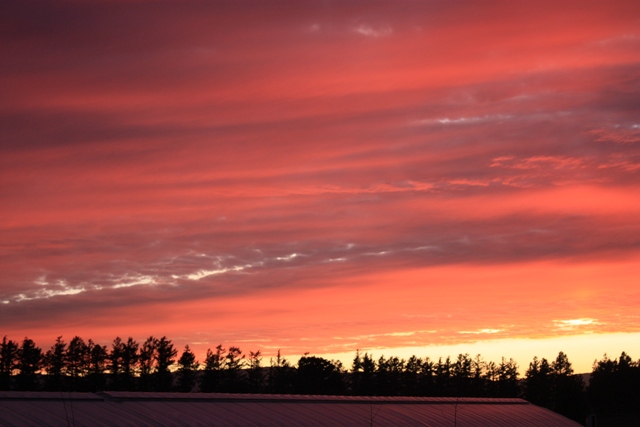 Ƃ̂ӂꂠLCȗ[Ă̕iASĂʂȑzoɁ