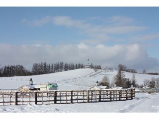 北海道の牧場ならでは! ここでしか出来ない貴重な体験♪