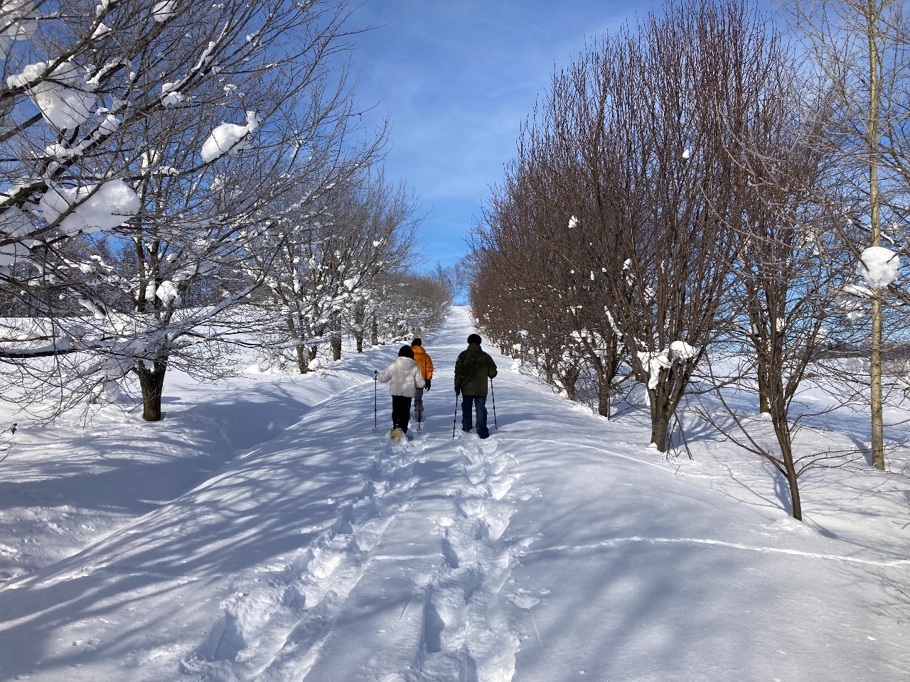 c̋u֓oR[XI@NʂȂ̓i݂܂