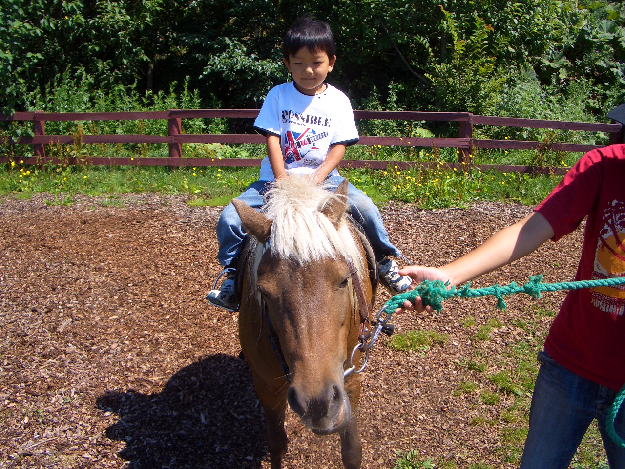 �����Ȃ��q�l�ł����S��@���q�l�ɑ�l�C�̃v���O�����ł��I