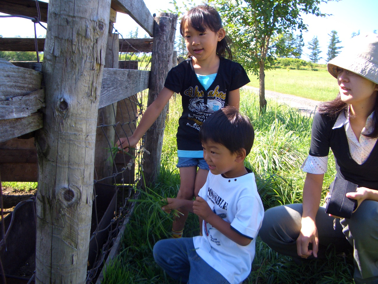 �����̃G�T���̌���@�G�T�܂ЂƂ�100�~�Ŕ̔����Ă��܂��I