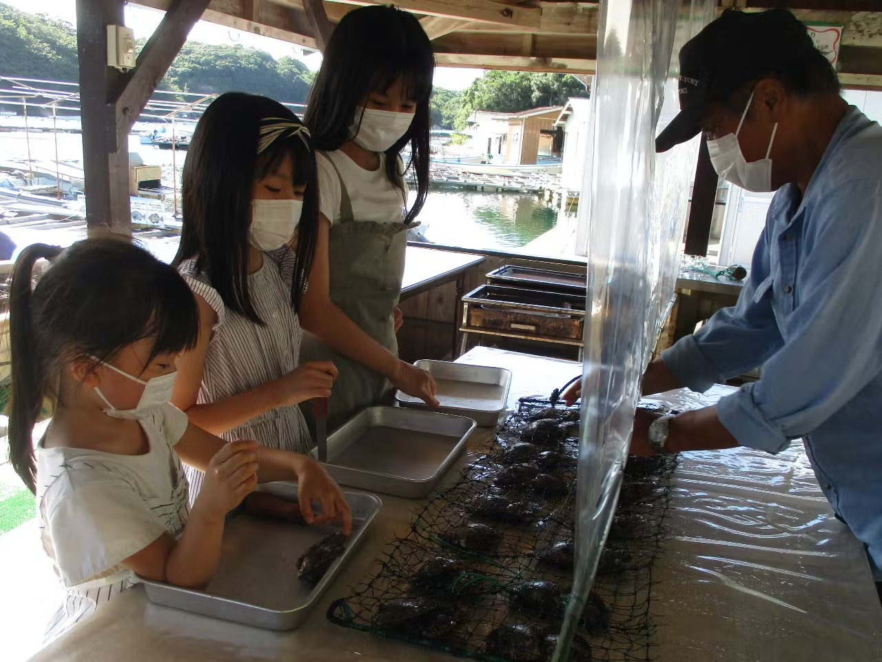 貝を選んで真珠取り出し体験