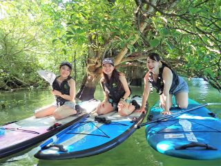 当店1番人気のマングローブSUP 離島ならではの素敵なマングローブロケーション。こだわりのフォトを撮るためにオヒルギのトンネルをSUPで抜けることも