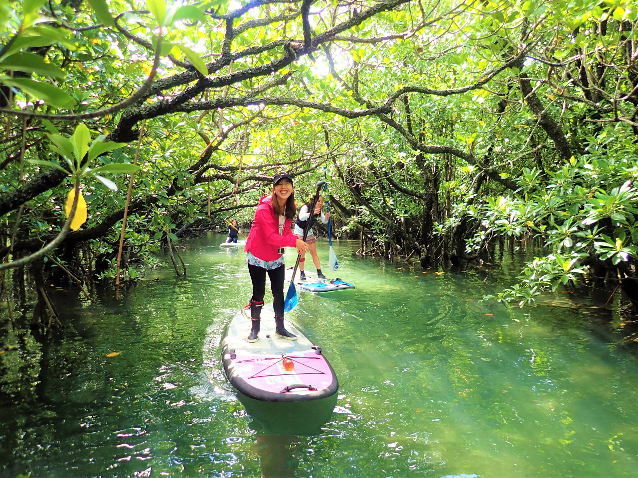 oҌ̖k}O[uSUP@ȑOlC̃o`F[̎Be肢ꂽ̂\ł͂ȂΊ_k̂̃P[VłB