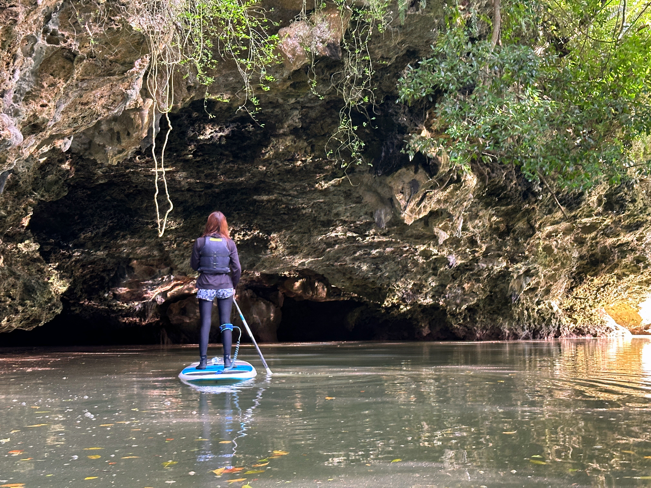 }O[u̐XƋ{ǐ̓AB\ł}O[u͐ɓA͂܂BΊ_ɂ͑召30𒴂鑾Â̗̐̂ĵߓ܂B