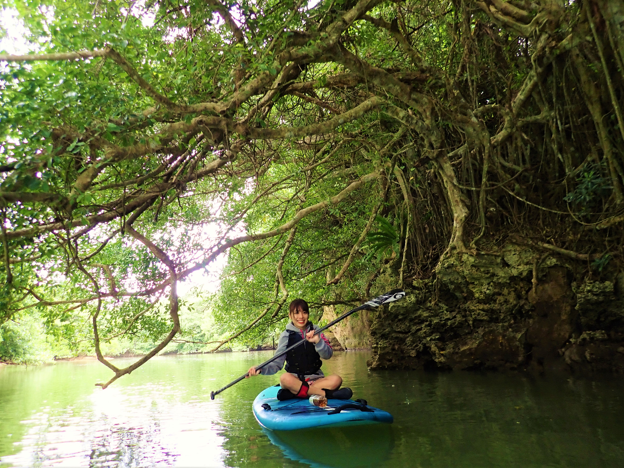 �}���O���[�u�͐�ɂ͂������}���O���[�u�ȊO�̐A������������Q�����Ă��܂��B���h�ȃK�W���}�������ǂ���̈�ł�