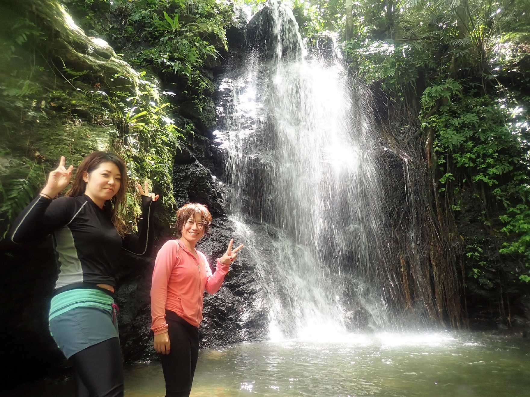 G̃cA[ȊڃV[GČ̑ē邱Ƃ唼łBQXgɂ͓X݂̑؂cA[ł̂т߂Ē̂