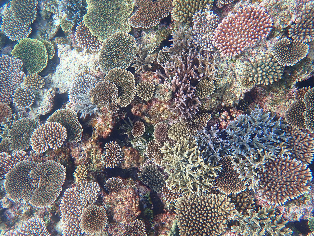 Xm[POGAo肽̃TSMыj|CgIт܂BgŊCrĂ̂ɂŉjƂ͂Ȃ̂ňSĉˁB