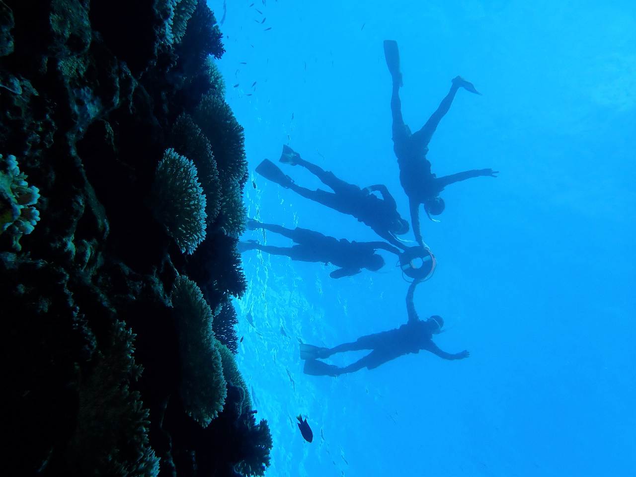 ʐ^o肽Beł悤ɐSĂ܂BłCȕɕtŃKCh鎞͎ʐ^̖͌܂̂łB