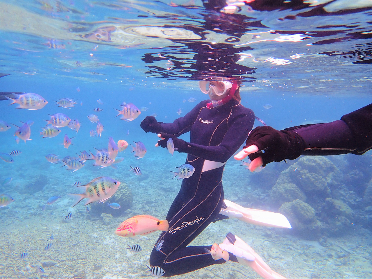 ␶ԌnɔzXł͋֎~Ăat͂ł܂BlꂵĂMы͎wp`p`ƊĂ邱ƂB