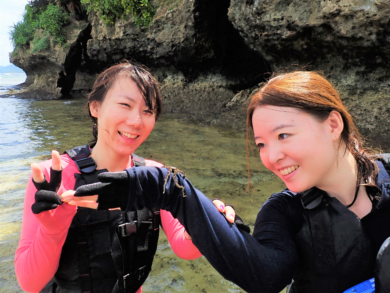 ͐̓A܂ŕĊTȂ܂B̂̓jEftNqgfAXxXx}WEKjAVJNi}RȂǐD̎q