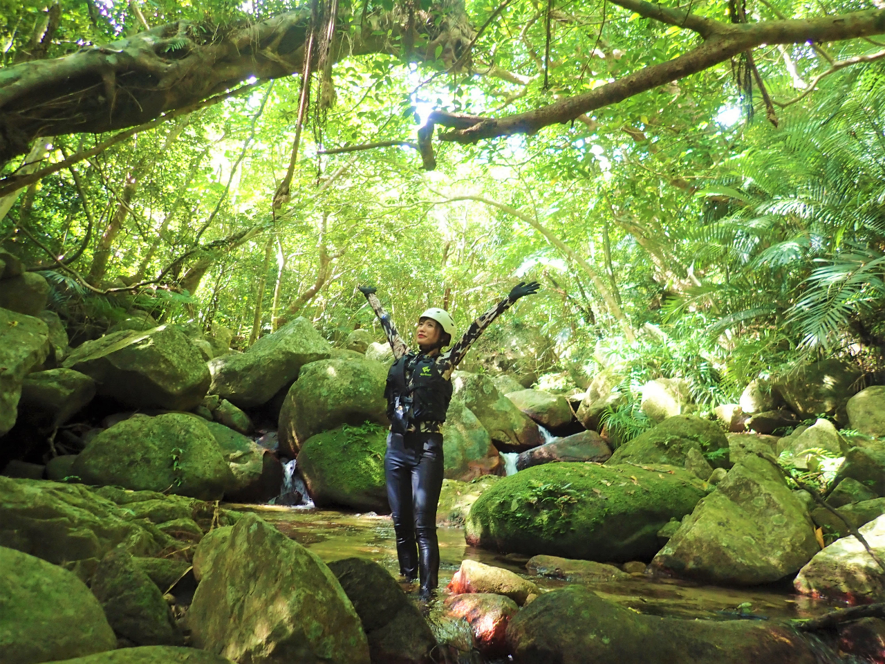 cA[܂ŐiނƂ܂ŃWu̐Eɑ𓥂ݓꂽ悤AΊ_̎̎RɌ܊܂čs悤Ȋ