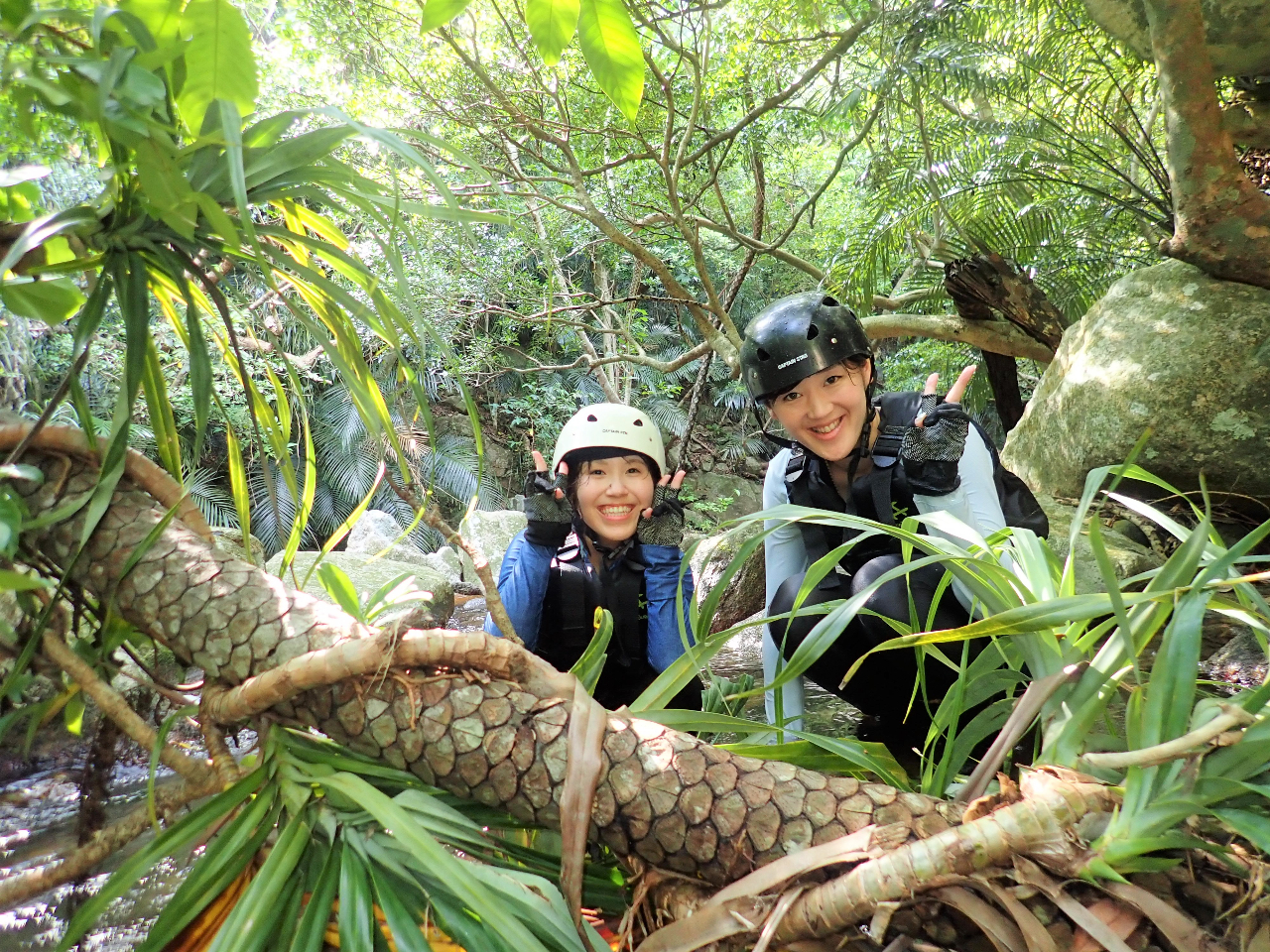 H̓rł͈Mт̐A␶TɃWO̒gbLO܂B