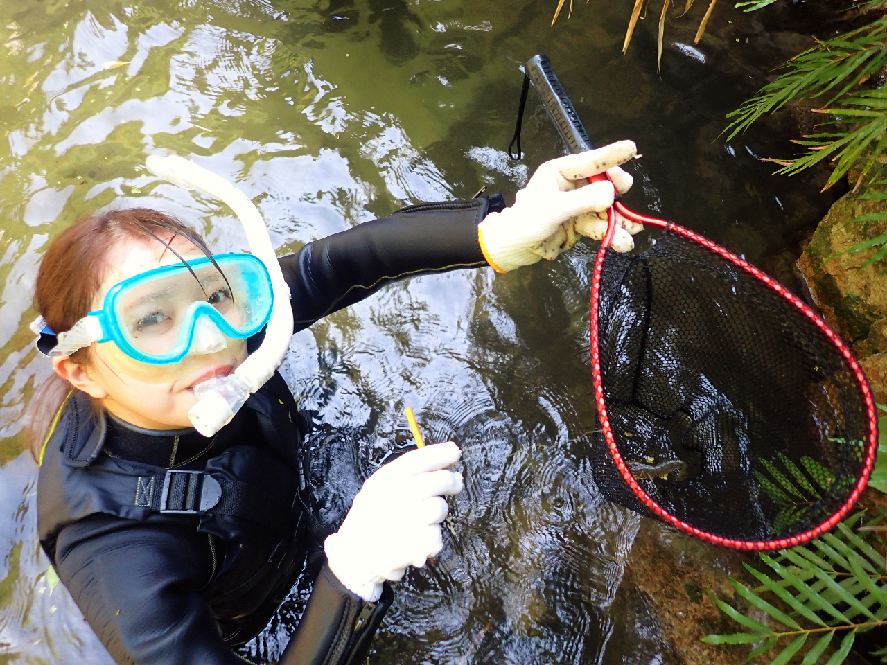 lC̃eiKGrނBڂł̃GrނXm[PO͂ǃn}肷QXgBlł\Grނɒ킵ĂˁI