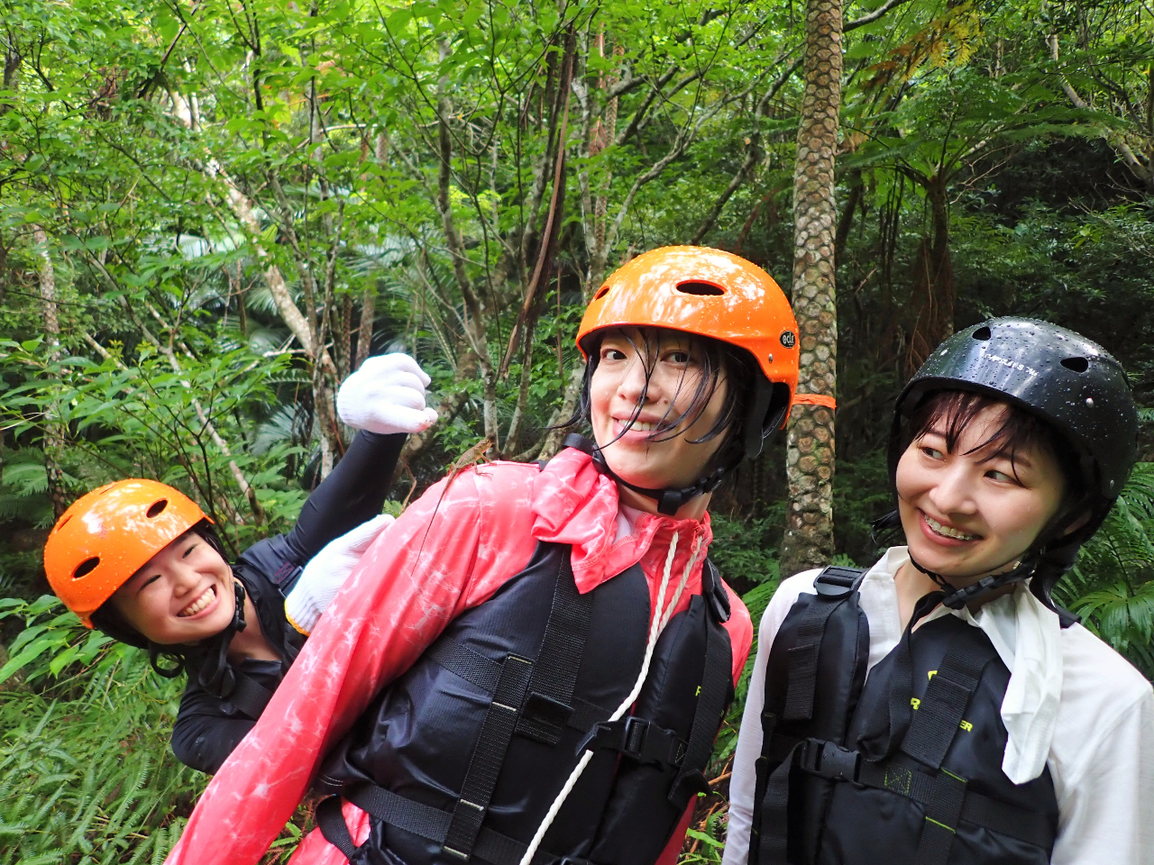 WOEH[Nł͓~G΁AFȐɉBLm{gJQ݂͂Ȃ̐lC