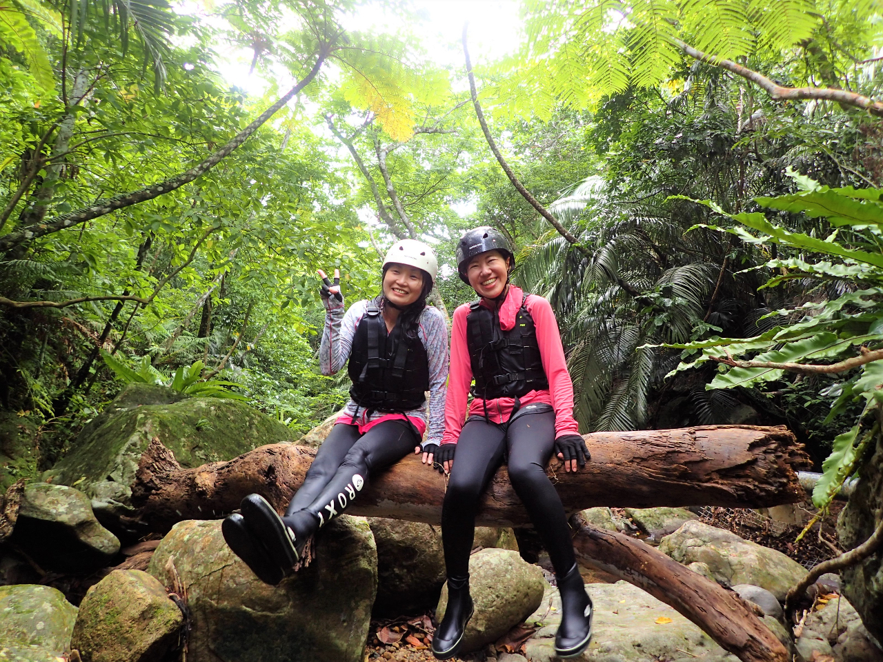 KVKVočsƃR[Xǂ傫Ȋ|؂B厩RɈ͂܂ꂽȓ|؂lC̎BeX|bg