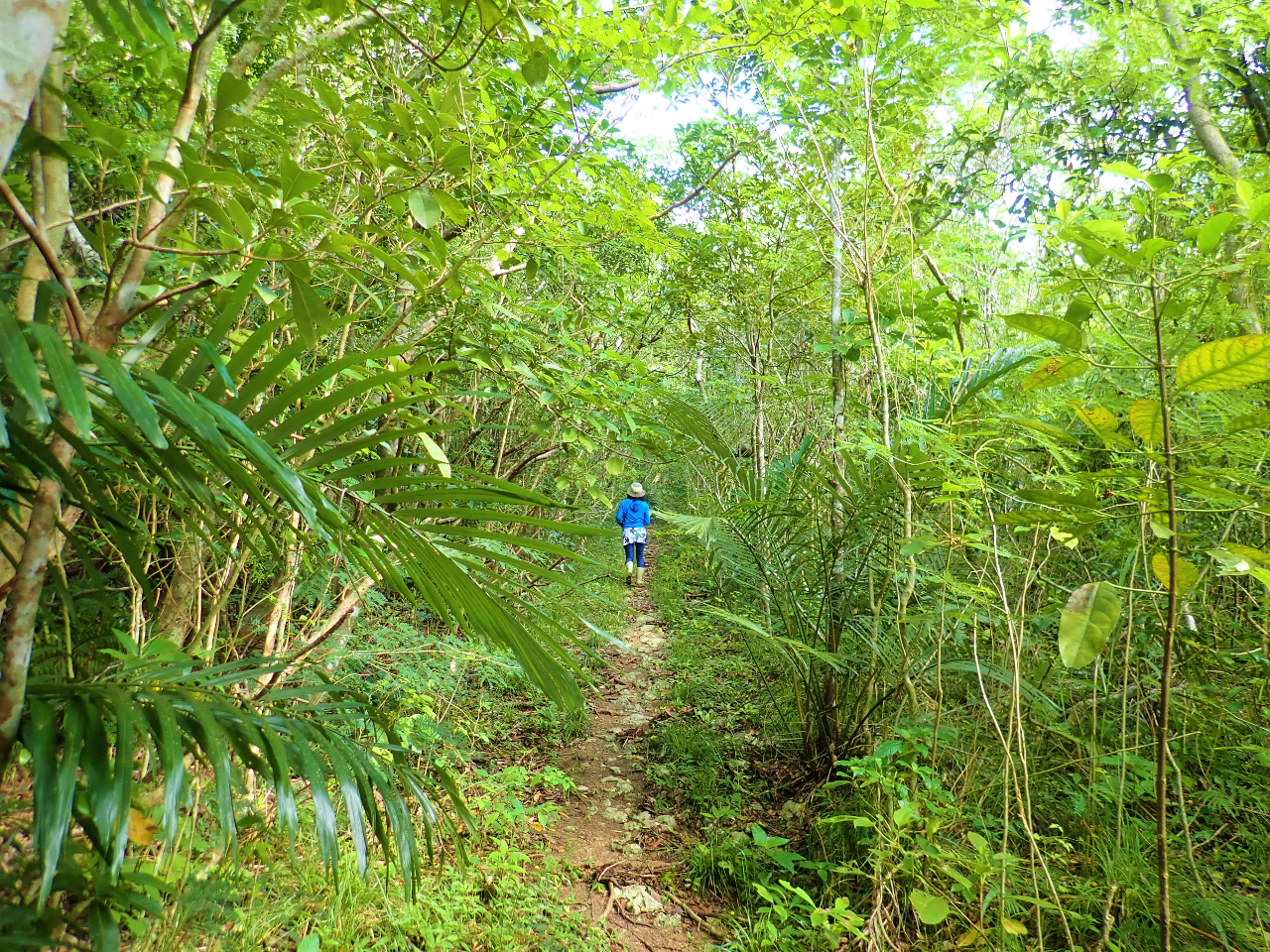 ̂Ԃ܊x̗ѓB̂̐l͂̋𔲂ĊXɔoɍsĂł