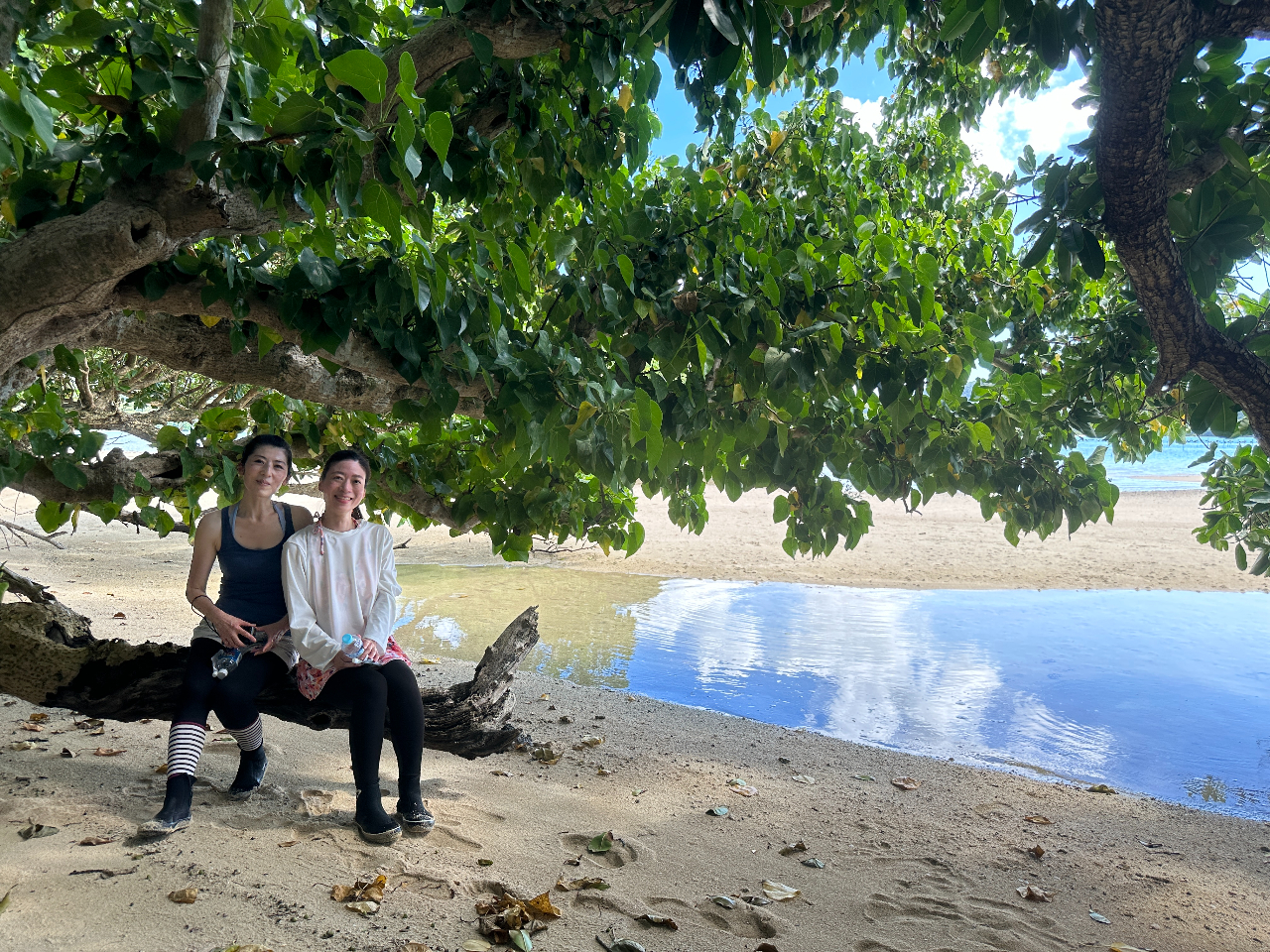 19N̓ł̃KCh𐶂ăQXgcA[ɏ㗤|CgɂĂ܂BSUP𑆂Ȃr[`Uy݂ɂĂ