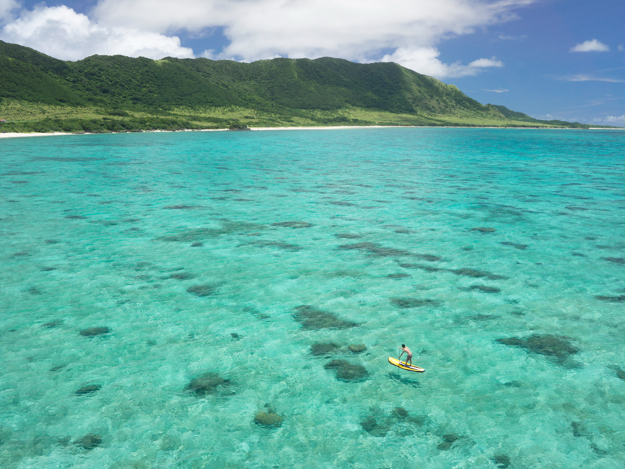 SUPőGA󂩂猩ƂȊB\Ί_ł̃h[Be͋֎~ÃcA[qɂf̂œXł͋B͍sĂ܂B