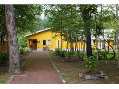 美瑛市内から車で約30分、白金温泉からは車で約10分、青い池には車で約5分です。富良野美瑛観光の際にはぜひお立ちより下さい。